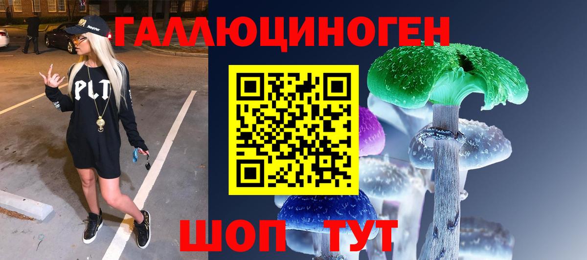 Псилоцибиновые грибы Cubensis Нижний Тагил
