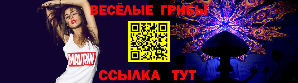 Нижний Тагил  Галлюциногенные грибы Psilocybine cubensis  Вход с VPN 